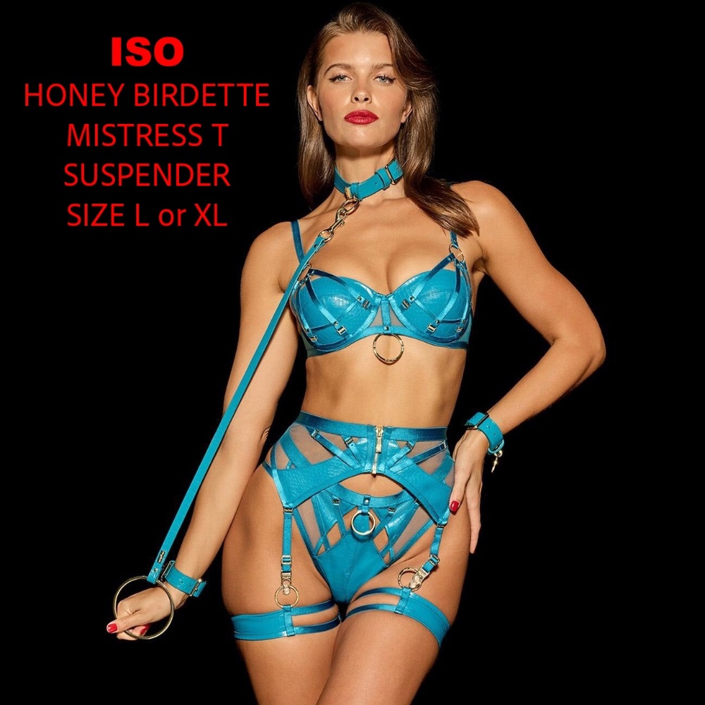 ISO Honey Birdette MISTRESS T SUSPENDER